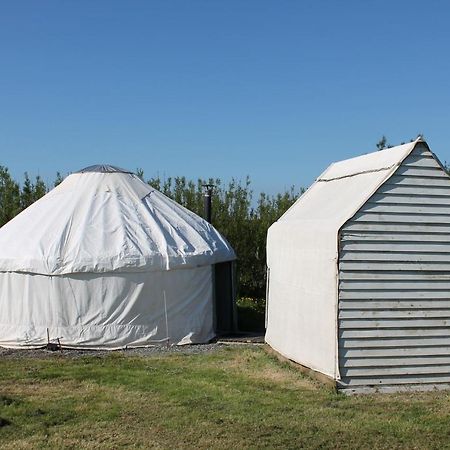 Mill Haven Place glamping yurt 3 Haverfordwest Exteriör bild