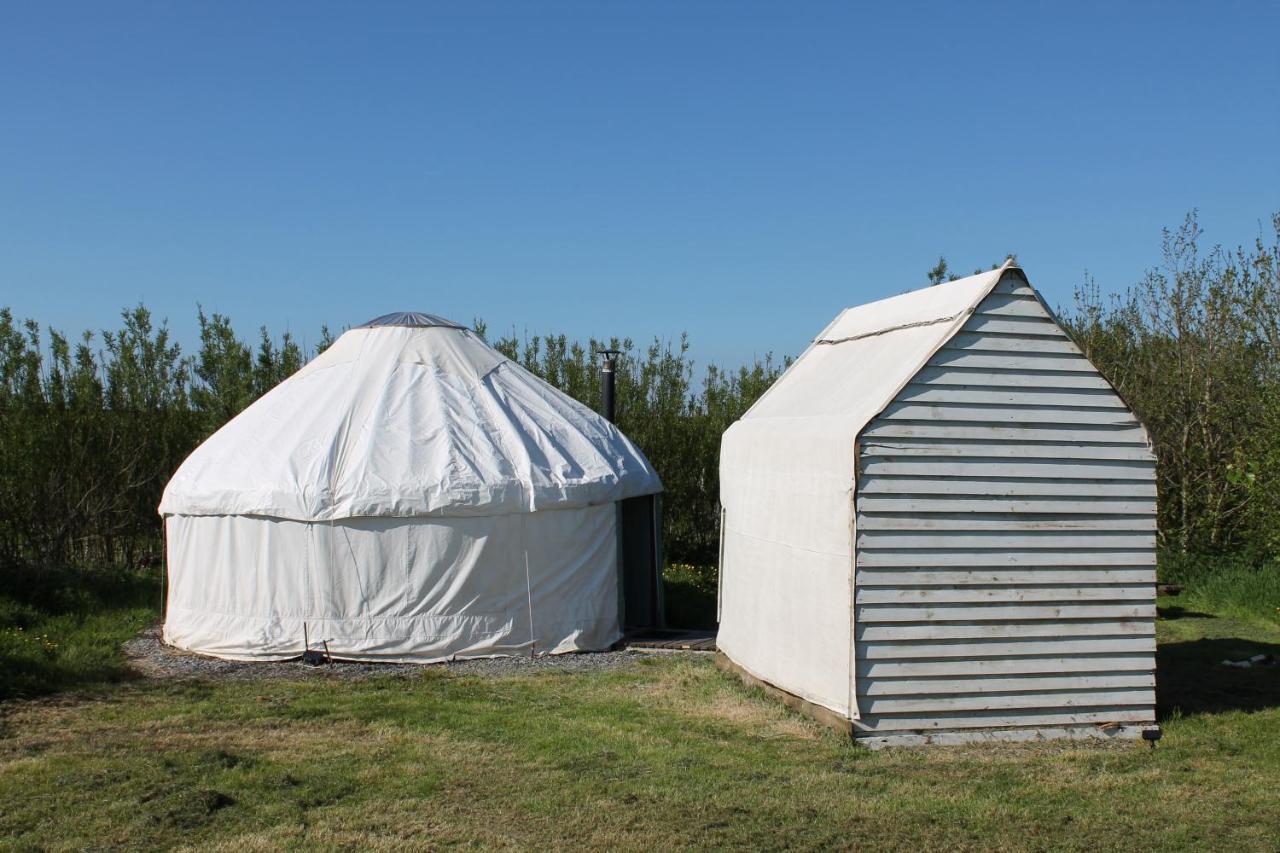 Mill Haven Place glamping yurt 3 Haverfordwest Exteriör bild