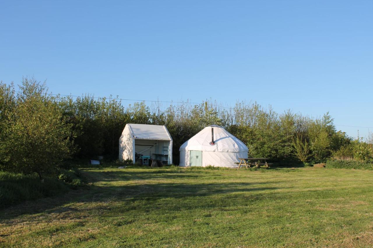 Mill Haven Place glamping yurt 3 Haverfordwest Exteriör bild