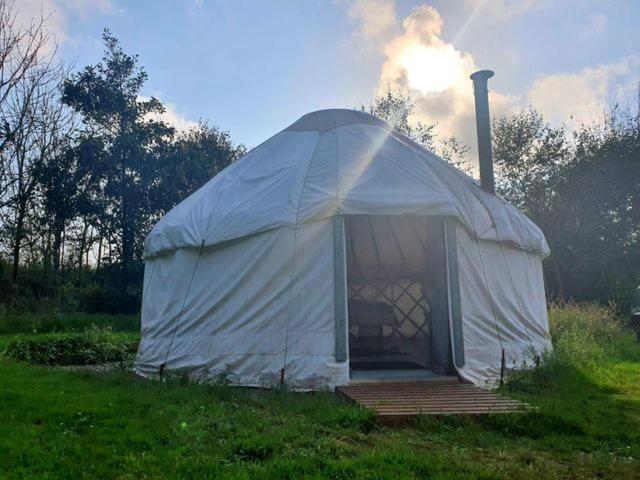 Mill Haven Place glamping yurt 3 Haverfordwest Exteriör bild