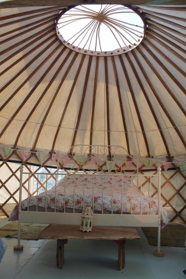 Mill Haven Place glamping yurt 3 Haverfordwest Exteriör bild