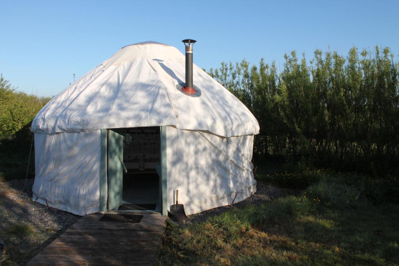 Mill Haven Place glamping yurt 3 Haverfordwest Exteriör bild