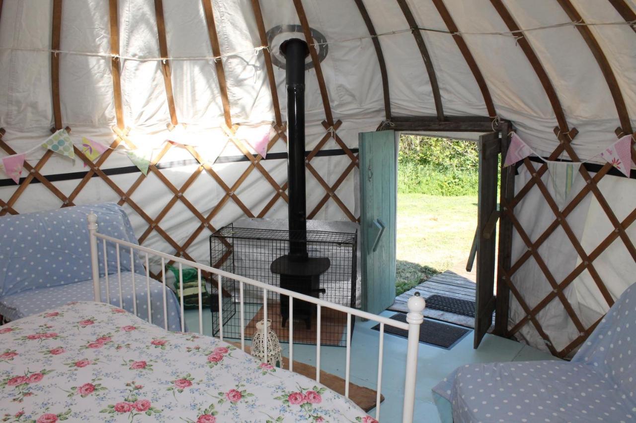 Mill Haven Place glamping yurt 3 Haverfordwest Exteriör bild
