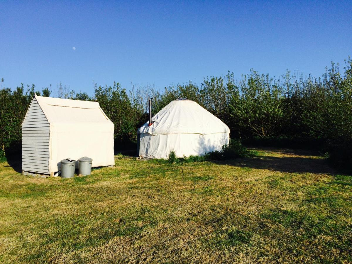 Mill Haven Place glamping yurt 3 Haverfordwest Exteriör bild