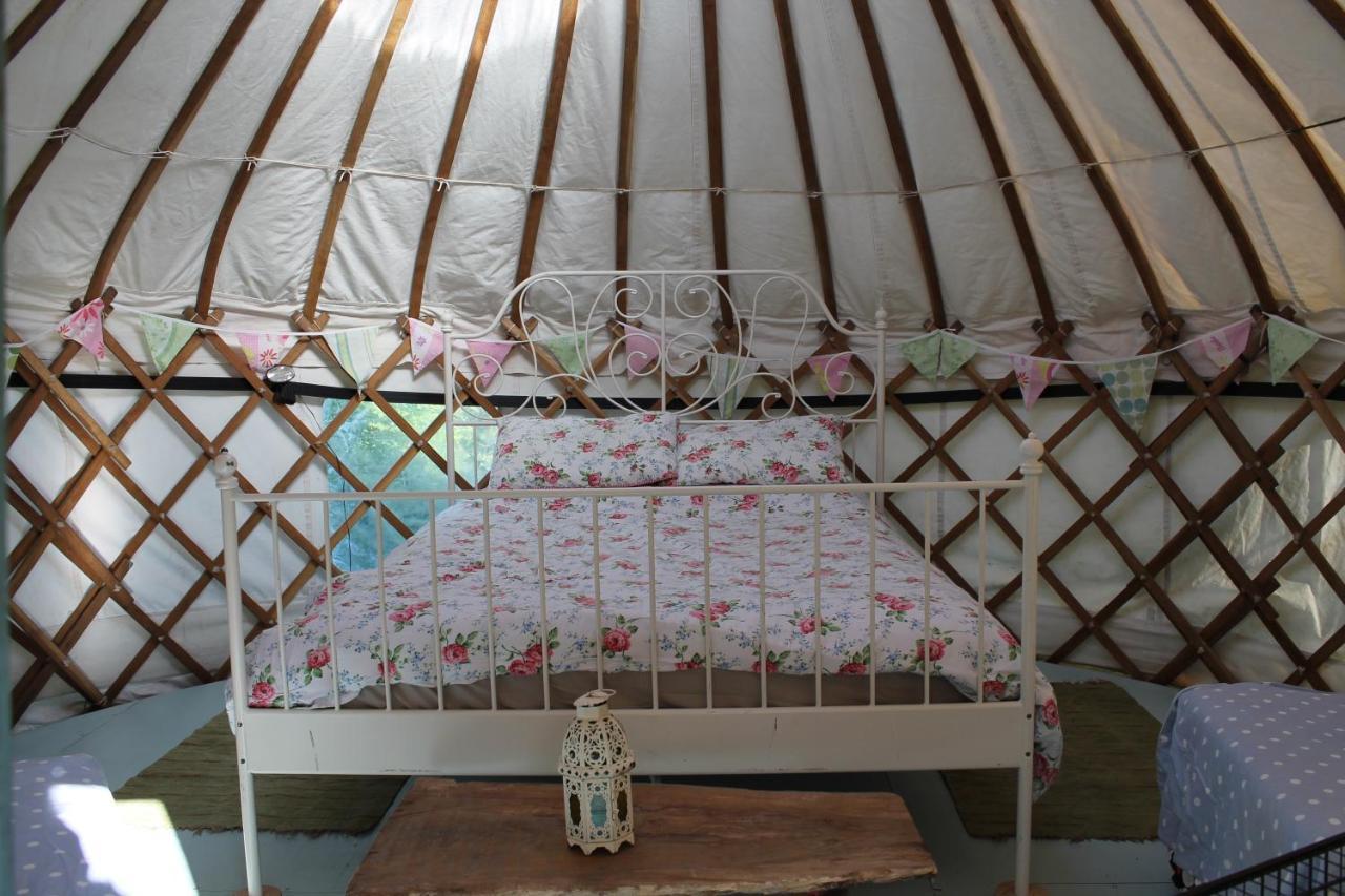 Mill Haven Place glamping yurt 3 Haverfordwest Exteriör bild